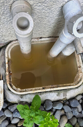https://blockeddrainswarwick.com.au/uploads/2025/07/blocked-drains-82500.jpg