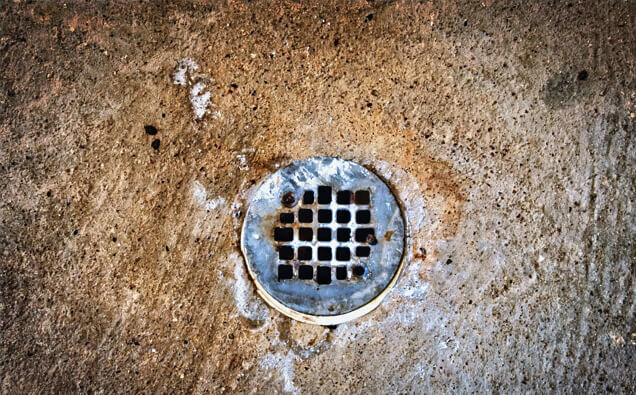 https://blockeddrainswarwick.com.au/uploads/2025/07/blocked-shower-drains-20432.jpg