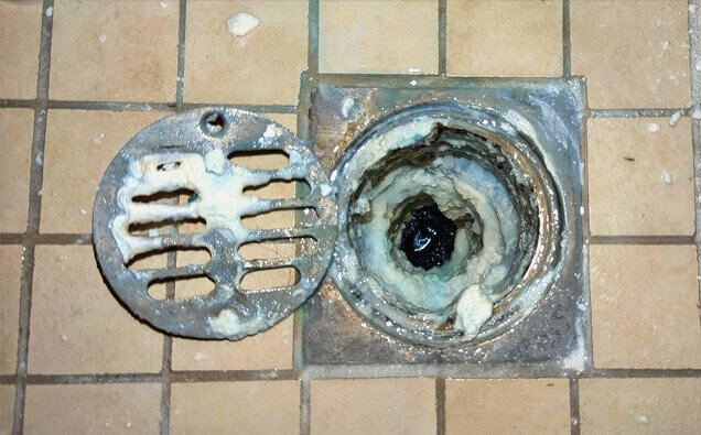 https://blockeddrainswarwick.com.au/uploads/2025/07/blocked-shower-drains-33151.jpg