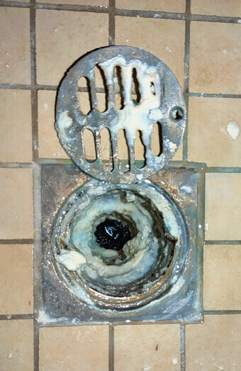 https://blockeddrainswarwick.com.au/uploads/2025/07/blocked-shower-drains-86331.jpg