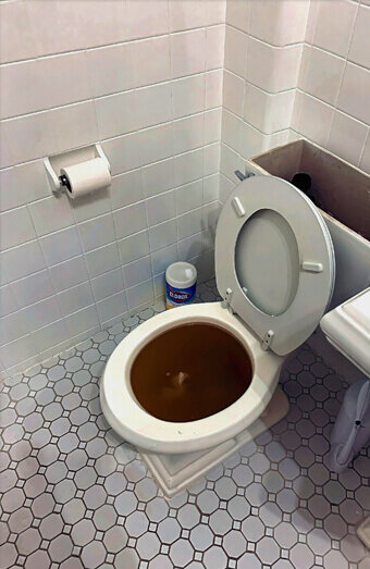 https://blockeddrainswarwick.com.au/uploads/2025/07/blocked-toilet-42230.jpg