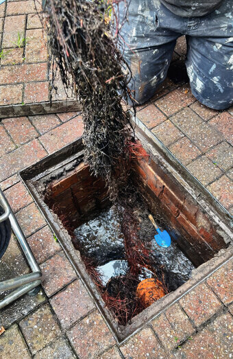 https://blockeddrainswarwick.com.au/uploads/2025/07/hero-blocked-sewers-68349.jpg