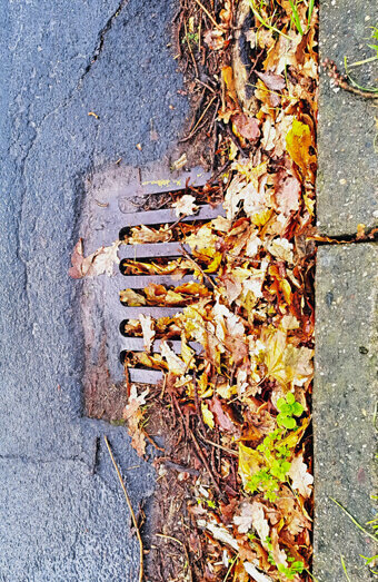 https://blockeddrainswarwick.com.au/uploads/2025/07/stormwater-drains-48051.jpg
